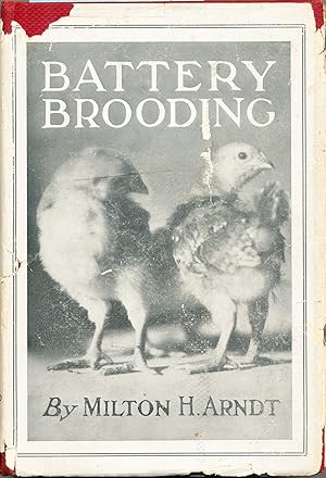 Seller image for Battery Brooding for sale by Bluestocking Books