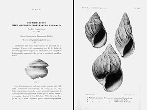 Déformations chez quelques mollusques pulmonés. In 8vo, original wrappers, pp. 5 with 1 pl. and 2...