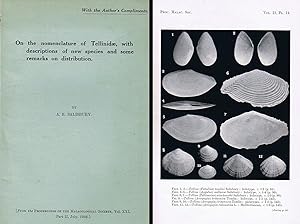 On the nomenclature of Tellinidae, with descriptions of new species and some remarks on distribut...