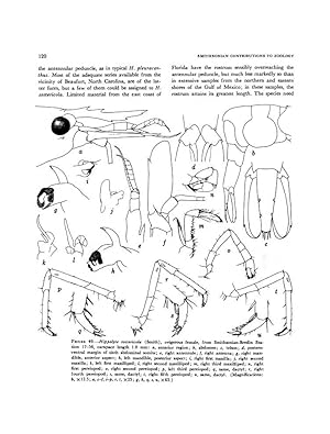 The shrimps of the Smithsonian-Bredin Caribbean Expeditions with a summary of the West Indian sha...