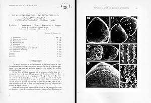 Seller image for The reproductive cycle and the glochidium of Anodonta cygnea L. from Lago Trasimeno (Central Italy). In 8, bross., pp. 99-118. Offprint from Montire Zool. It., 9 for sale by NATURAMA