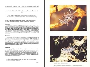 Immagine del venditore per Una nueva especie de Piseinotecus Marcus, 1955 (Gastr. Nudibranchia) del litoral iberico. In 8, bross., pp. 8 with 6 figs. Offprint from Boll. Mal. 22(9-12) venduto da NATURAMA