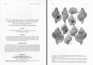 Two rare and bizarre species of Sassia Bellardi, 1872 (Gastr. Ranellidae) in southern Australia, ...