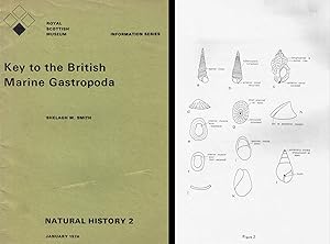 Key to the British Marine Gastropoda. In 4°, bross., pp. 44 + 4 pl. with identification keys