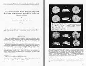 Imagen del vendedor de First contribution to the revision of the Oxychilus-species living in the Italian Apennine regions: Zonites uziellii Issel. In 8vo, bross., pp. 13. Offprint from Arch. Moll. 115(4-6) a la venta por NATURAMA