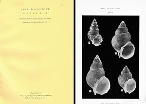 Seller image for Buccinid species from Rausu, Hokkaido. In 8vo, original wrappers, pp. 8 + 1 pl. Offprint from Venus 27(1). Text bilingual Japanerse/English for sale by NATURAMA