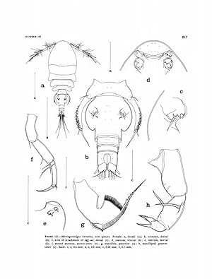A revision of the family Lichomolgidae Kossmann, 1877, cyclopoid copepods mainly associated with ...