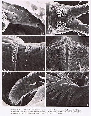 Parasitic copepods of mackarel and Tuna-like fishes (Scombridae) of the world. In 8vo, broch., pp...