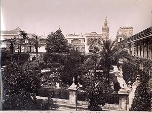 Immagine del venditore per [Gardens of Alcazar in the Palace of Seville, with palace in background]. Sevilla. Jardines del Alcazar. venduto da Shapero Rare Books