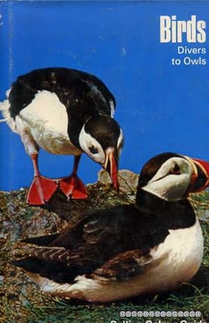 Seller image for Birds Divers to Owls for sale by Pendleburys - the bookshop in the hills