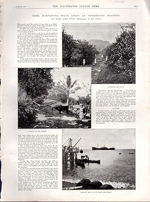 Seller image for PRINT: "Some Interesting Facts About an Interesting Industry: The Finest Lime Fruit Plantations in the World".Story & photoengravings from Illustrated London News; June 26, 1897 for sale by Dorley House Books, Inc.