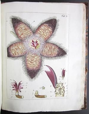 Seller image for Miscellanea Austriaca ad botanicam, chemiam, et historiam naturalem spectantia, cum figuris partim coloratis (Vol. I-II) for sale by Sanctuary Books, A.B.A.A.
