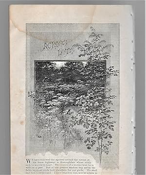 Seller image for Across Lots, Among The Weeds for sale by Legacy Books II