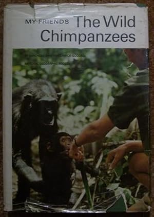 My Friends The Wild Chimpanzees