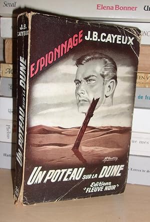 UN POTEAU SUR LA DUNE