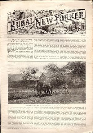 Image du vendeur pour The Rural New-Yorker: A Journal for the Suburban and Country Home: Volume LXXV, No. 4383: June 24, 1916 mis en vente par Dorley House Books, Inc.