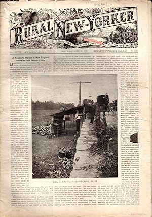 Image du vendeur pour The Rural New-Yorker: A Journal for the Suburban and Country Home: Volume LXXVIII, No. 4530: April 19, 1919 mis en vente par Dorley House Books, Inc.