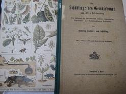 Seller image for Die Schdlinge des Gemsebaue und deren Bekmpfung for sale by Alte Bcherwelt