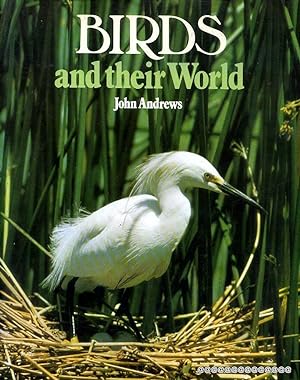 Imagen del vendedor de Birds and Their World a la venta por Pendleburys - the bookshop in the hills