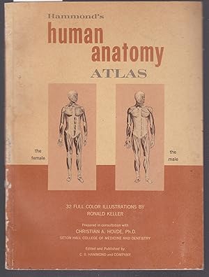 Hammond's Human Anatomy Atlas