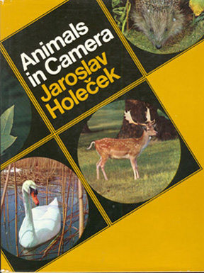 Imagen del vendedor de Animals in Camera a la venta por Don's Book Store
