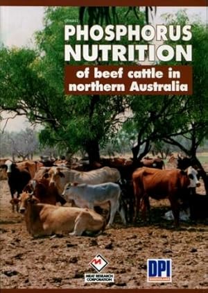 Phosphorous Nutrition of Beef Cattle in Northern Australia