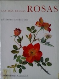 Seller image for Las ms bellas rosas for sale by Librera Ofisierra