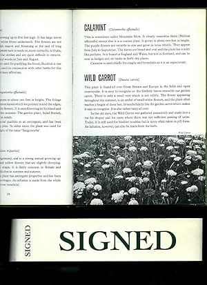 Bild des Verk�ufers f�r Herbs For Today and Tomorrow [Signed] zum Verkauf von Little Stour Books PBFA Member