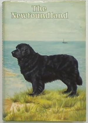 The Newfoundland