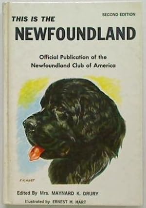 This is the Newfoundland