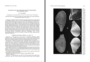 Seller image for Description of two new Cuspidariidae (Bivalvia, Septibranchia) from the Atlantic Ocean. In 8vo, offp., pp. 4 with 5 figs. Offprint from Basteria, 49 for sale by NATURAMA