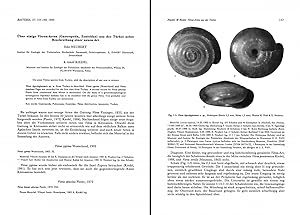 Seller image for ber einige Vitrea-Arten (Zonitidae) aus der Trkey nebst Beschreibung einer neuen Art. In 8vo, offp., pp. 6 with 3 figs. Offprint from Basteria, 57 for sale by NATURAMA