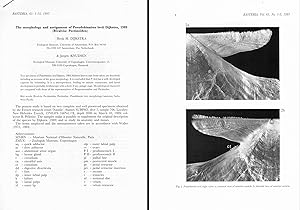 Image du vendeur pour The morphology and assignment of Pseudohinnites levii Dijkstra, 1989 (Pectinoidea). In 8vo, offp., pp. 15 with 11 figs. Offprint from Basteria, 61(1-3) mis en vente par NATURAMA