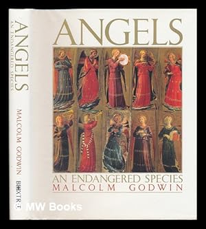 Imagen del vendedor de Angels : an endangered species a la venta por MW Books