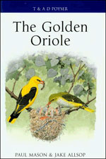 Bild des Verkufers fr The Golden Oriole zum Verkauf von Buteo Books