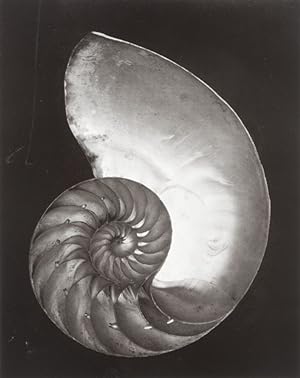 Edward Weston: His Life and Photographs [SIGNED] [WITH AN ORIGINAL SILVER PRINT IN A CARDBOARD SL...