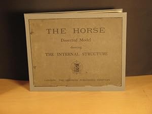 The Horse; Dissected Model Showing the Internal Structure; Dissected Model showing the Developmen...