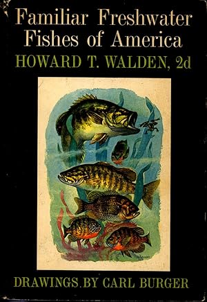 Seller image for Familiar freshwater fishes of America. [Brook and brown trout -- Rainbow, cutthroat, and golden trout -- Lake trout -- Other chars -- Atlantic salmon -- Pacific salmon -- Grayling -- Whitefishes and ciscoes -- Shads, herring, alewife -- Smelts, mooneye, goldeye, central mudminnow -- Pickerels, northern pike, muskellunge -- Suckers -- Minnows -- Catfishes -- Sunfishes -- Smallmouth, largemouth, and spotted bass -- White bass, yellow bass, white perch -- Yellow perch, walleye, sauger, darters -- Burbot, freshwater drum, and others -- Sturgeons, paddlefish, gars, bowfin -- American eel and the lampreys.] for sale by Joseph Valles - Books
