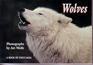 Wolves - A Book of 30 Postcards