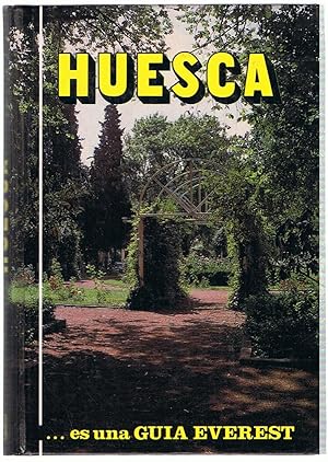 Seller image for HUESCA for sale by Librera Torren de Rueda