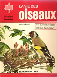 La Vie Des Oiseaux : Faits et Chiffres - Comment Observer Des Oiseaux - comment Les Dessiner - Po...