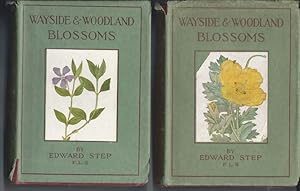 WAYSIDE AND WOODLAND BLOSSOMS, a Guide to British Wild-Flowers: First & Second Series (2 Books) C...