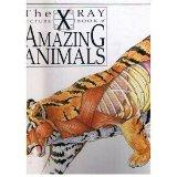 X Ray Picture Book of Amazing Animals Edited by Kathryn Senior. Glossary and Index.