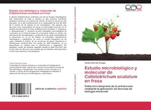 Imagen del vendedor de Estudio microbiolgico y molecular de Colletotrichum acutatum en fresa : Deteccin temprana de la antracnosis mediante la aplicacin de tcnicas de biologa molecular a la venta por AHA-BUCH GmbH