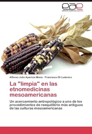 Bild des Verkufers fr La "limpia" en las etnomedicinas mesoamericanas : Un acercamiento antropolgico a uno de los procedimientos de reequilibrio ms antiguos de las culturas mesoamericanas zum Verkauf von AHA-BUCH GmbH