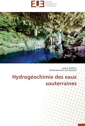 Seller image for Hydrogochimie des eaux souterraines for sale by AHA-BUCH GmbH