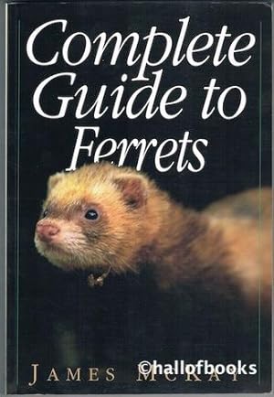 Complete Guide To Ferrets