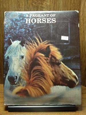 Seller image for A PAGEANT OF HORSES for sale by The Book Abyss