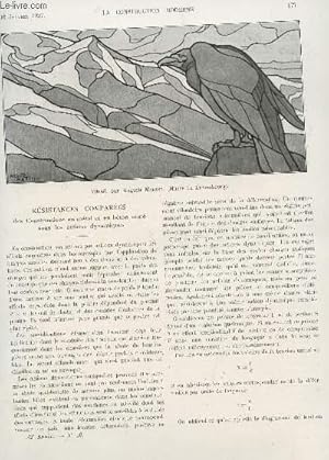 Seller image for LA CONSTRUCTION MODERNE - N16 - 10 JANVIER 1927 / RESISTANCES COMPAREES, DES CONSTRUCTIONS EN METAL ET EN BETON ARME SOUS LES ACTIONS DYNAMIQUES - LE MOUVEMENT DES PRIX EN 1926 - DEUX VILLAS AU LYS CHANTILLY - VARIATIONS DES PRIX DE LA CONSTRUCTION . for sale by Le-Livre