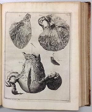 Adversariorum anatomico-medico-chirurgicorum decas prima (- tertia), cui (priori) adjuncta est Mi...